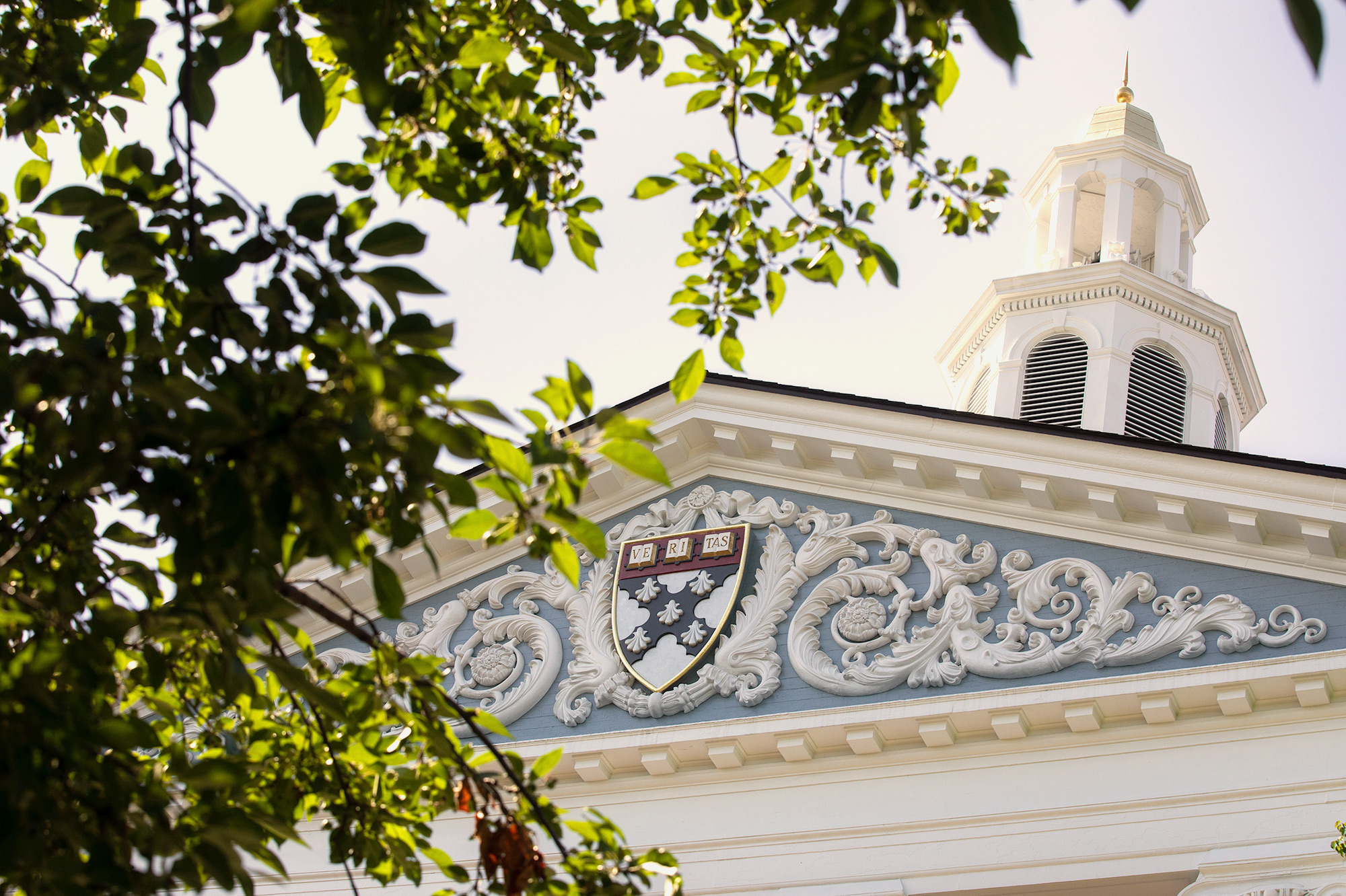 building with Veritas on Harvard University campus